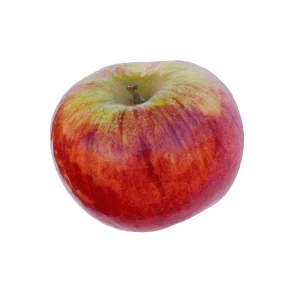Cortland Apple