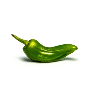 Jalapeno pepper