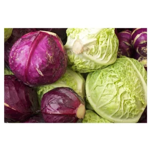 Cabbage