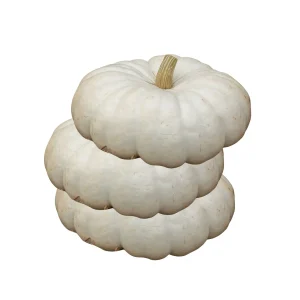 Flatstacker Pumpkin