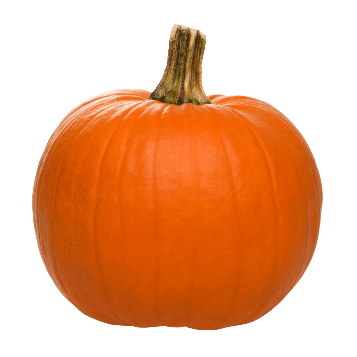 Orange Pumpkin